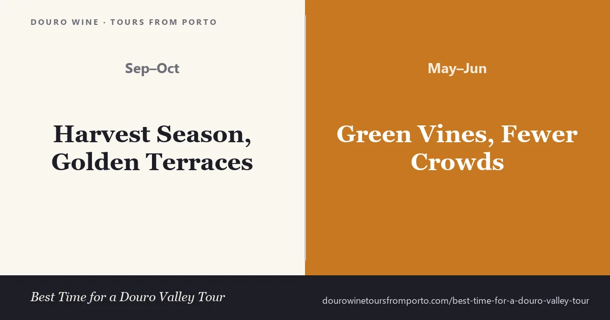 Comparison of harvest season (Sep–Oct, golden terraces) versus late spring (May–Jun, green vines, fewer crowds) for a Douro Valley tour