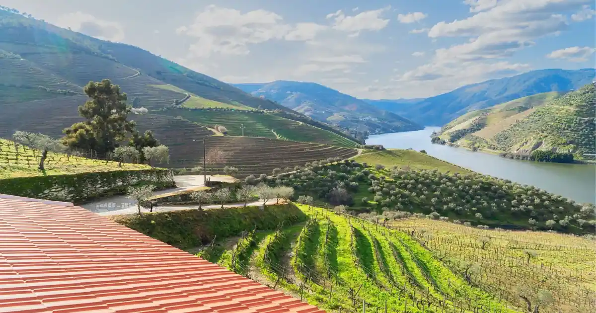A red-roofed Quinta overlooking terraced vineyards and a bend in the Douro River