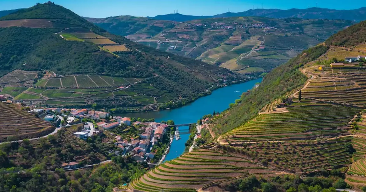 Pinhão from above — the village, its iron bridge over the Douro, and terraced vineyards stacked on both banks.