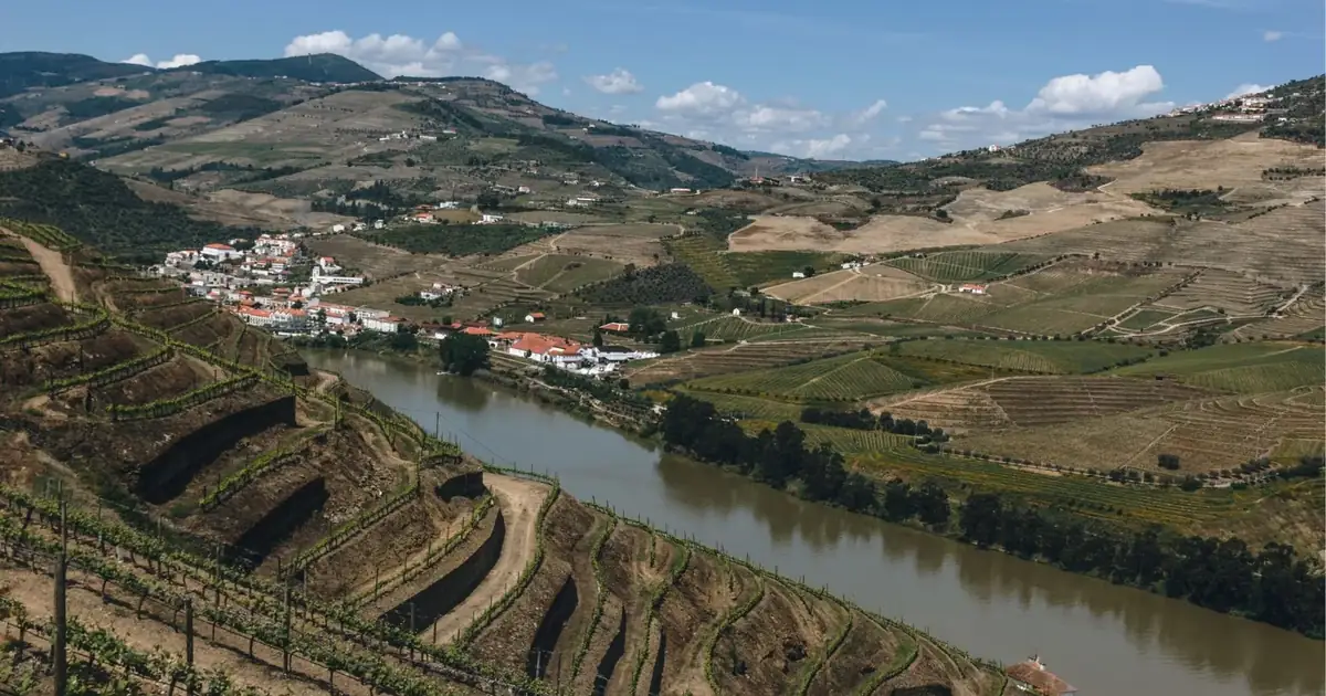 The Douro wine route: a village on the river bend between Peso da Régua and Pinhão, terraced vineyards rising on both banks.