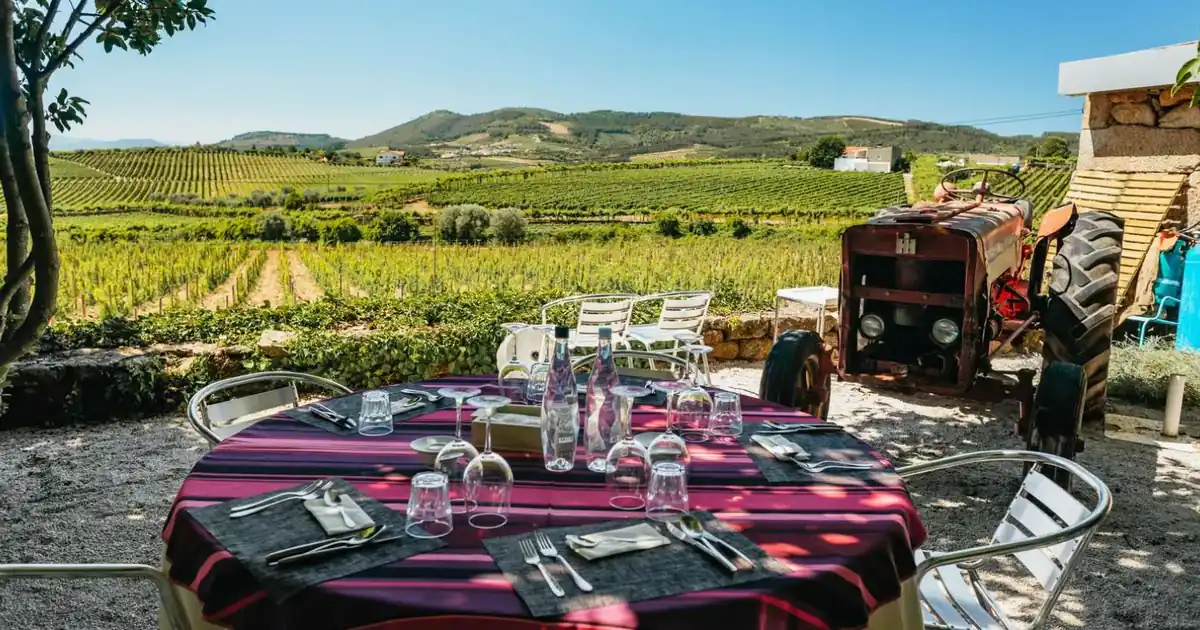 A table laid for lunch beside a Douro vineyard, with the terraced hills behind