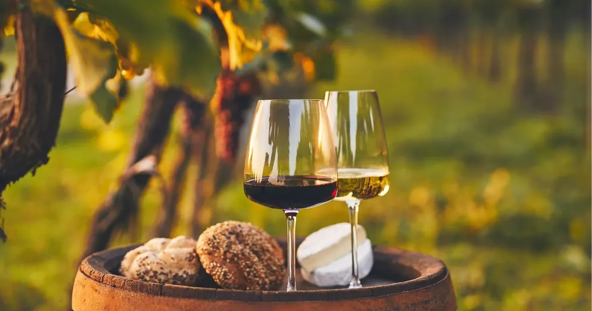 A glass of Douro red and a glass of Douro white on a barrel in a Douro Valley vineyard