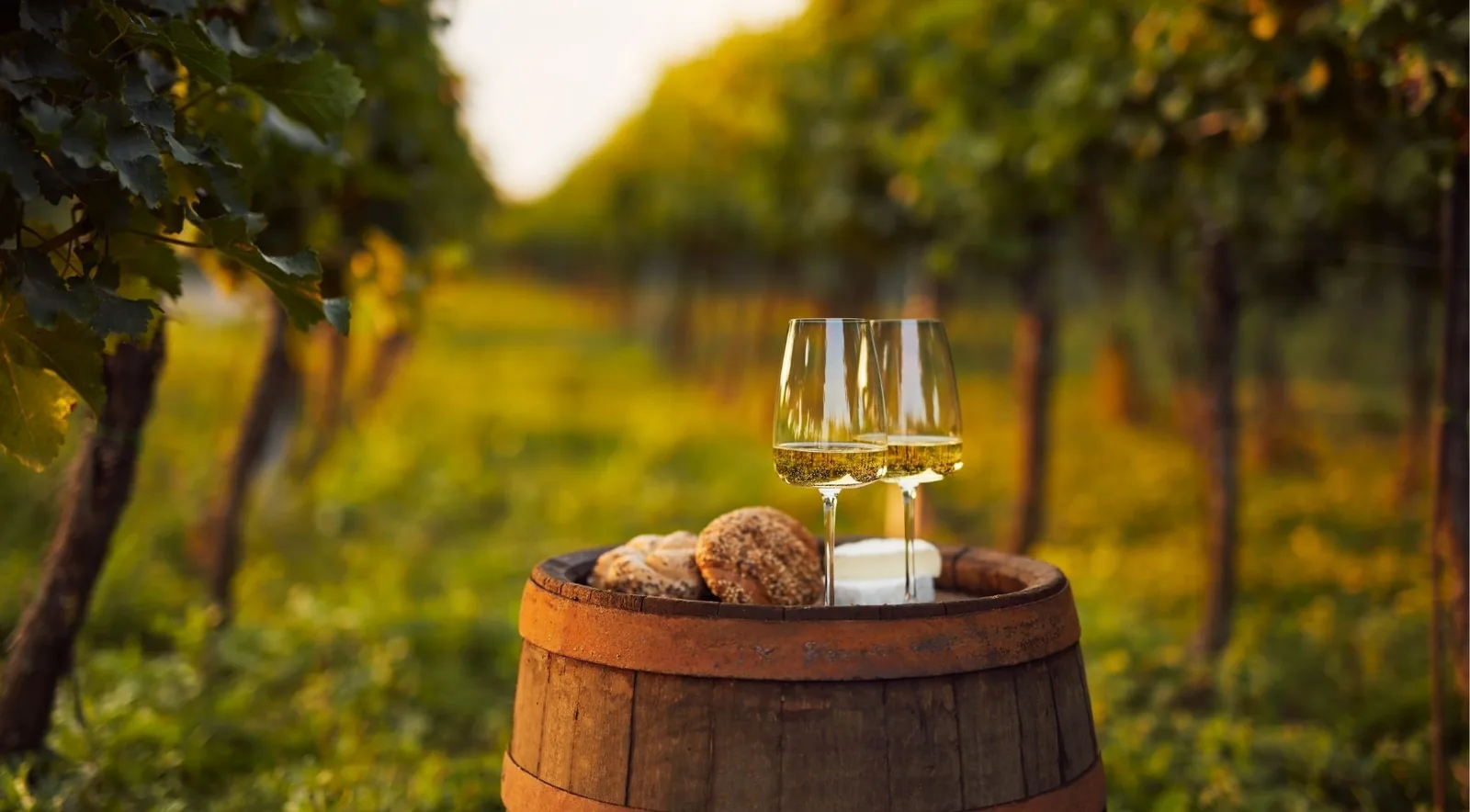 Bread, cheese, and wine served on a barrel table in a Douro vineyard