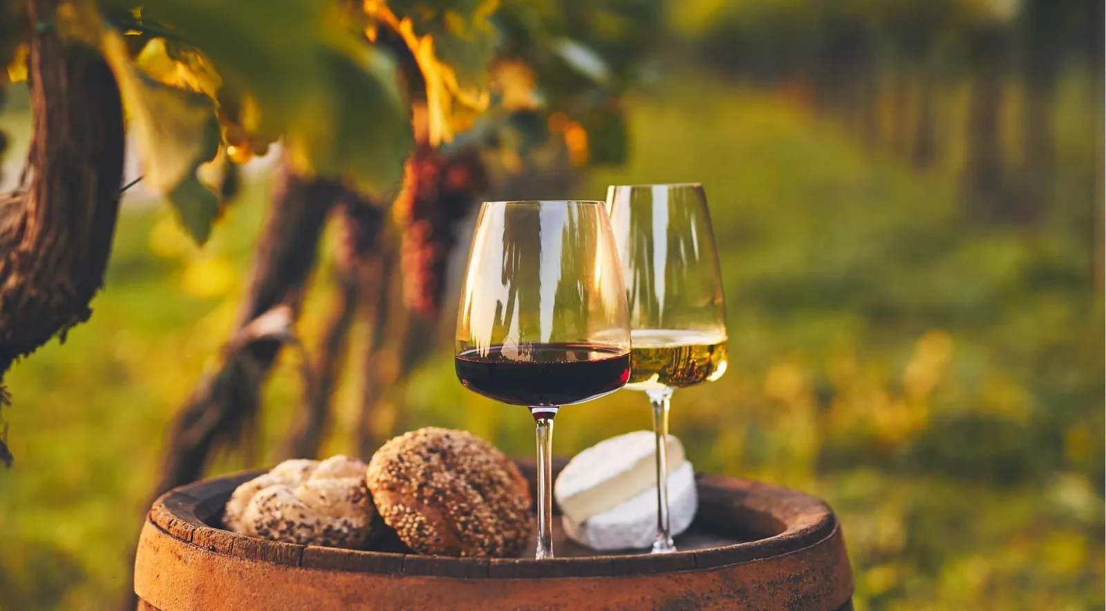 Red and white wine glasses on a barrel with bread and cheese in a Douro vineyard