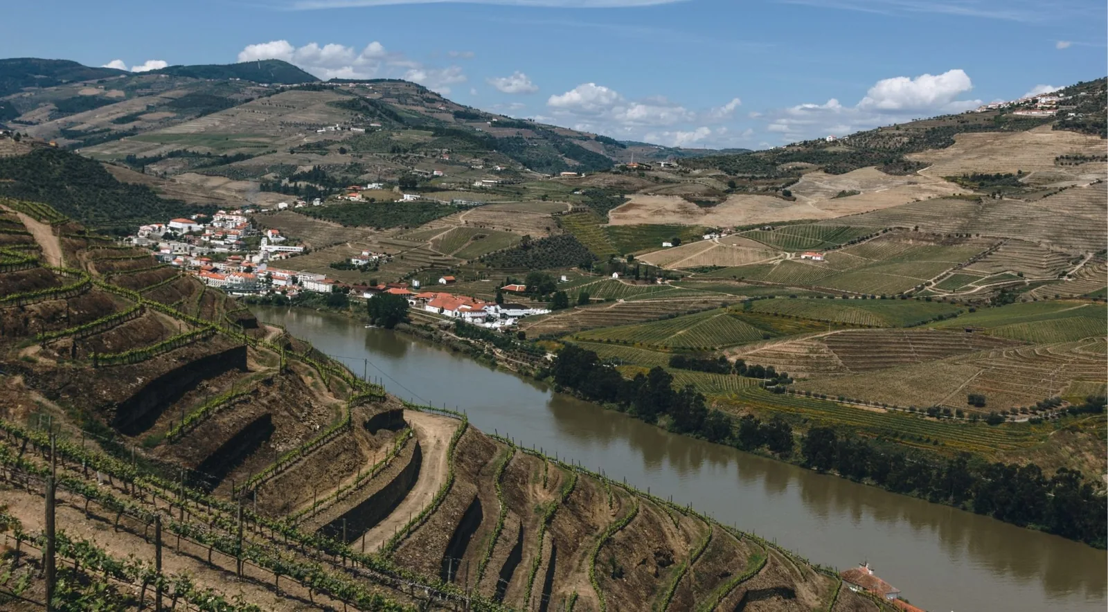 Aerial view of a riverside Douro village surrounded by terraced vineyards
