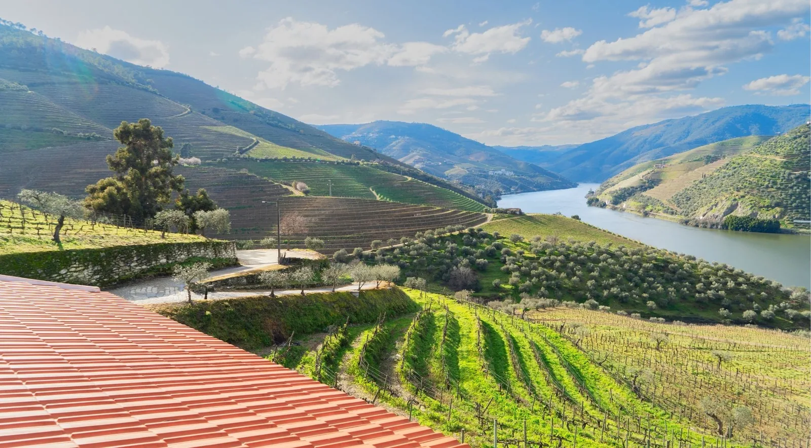 A red-roofed Quinta overlooking terraced vineyards and the Douro River