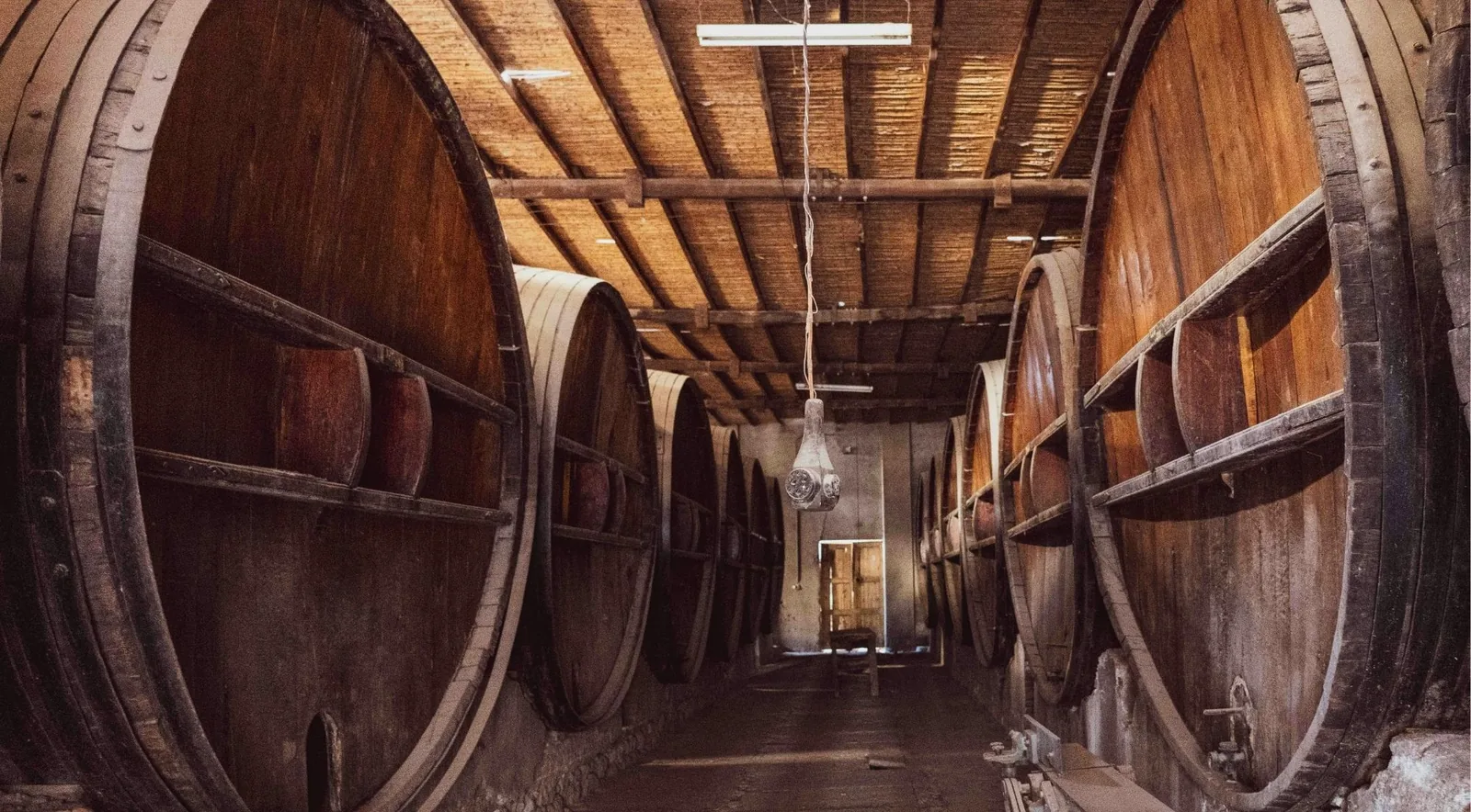 Rows of wine barrels inside a traditional Douro cellar