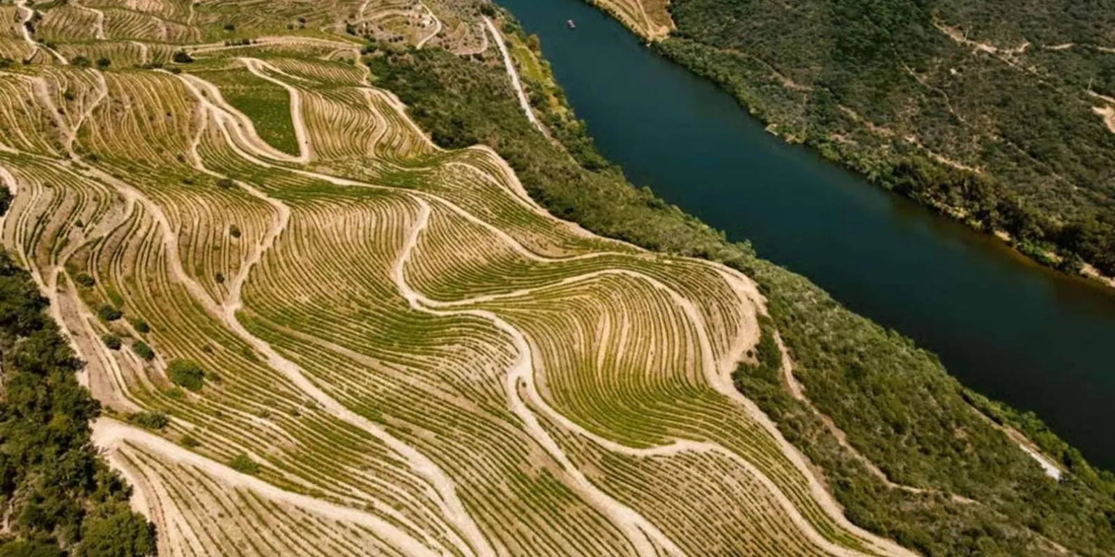 Porto: Douro Valley Full-Day Boat, Train, and Lunch Tour