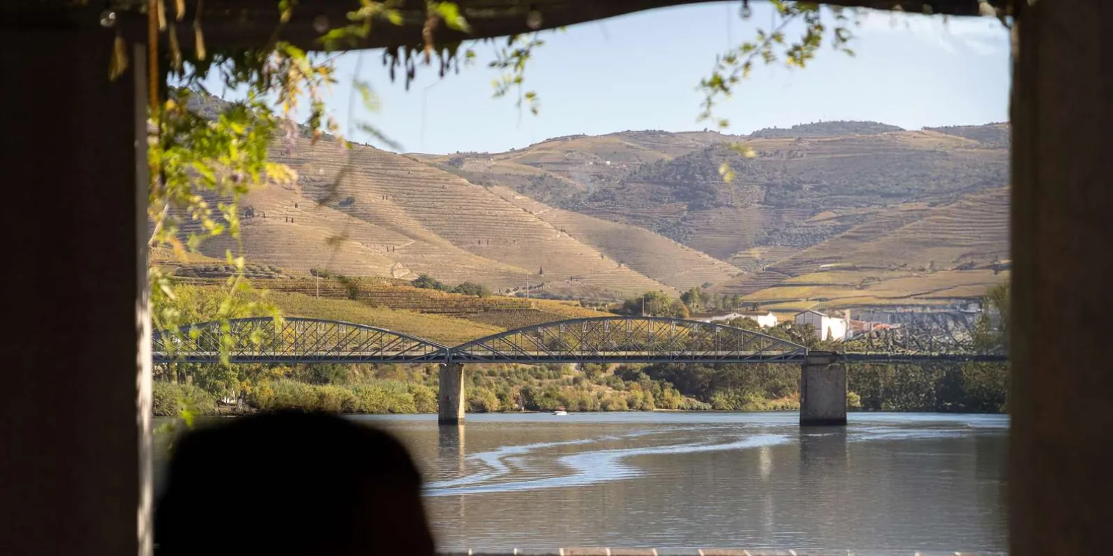 Boat cruise gliding along the Douro River past terraced vineyards
