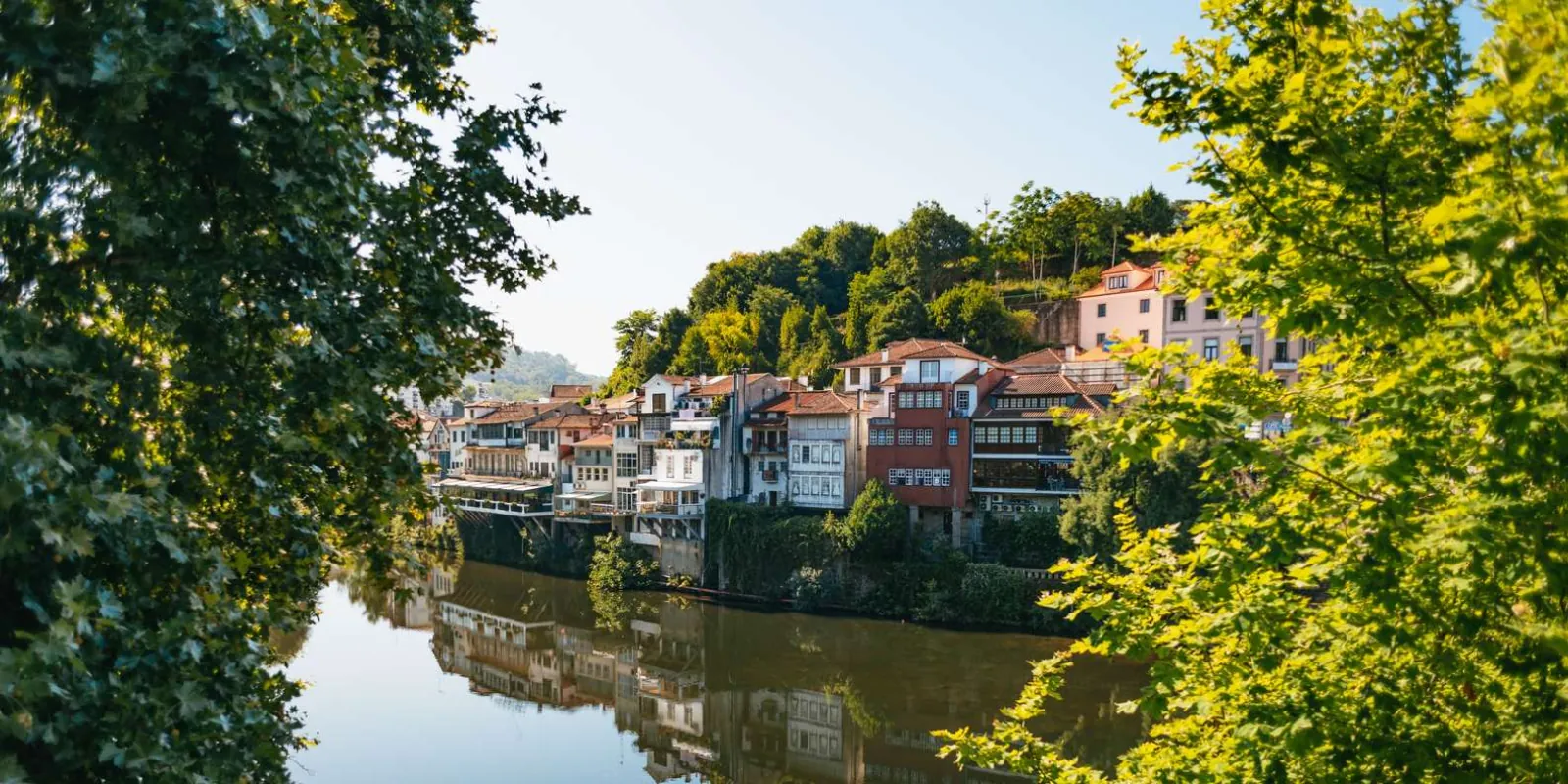 Porto: Douro Valley with Lunch (Optional), Tastings & Cruise