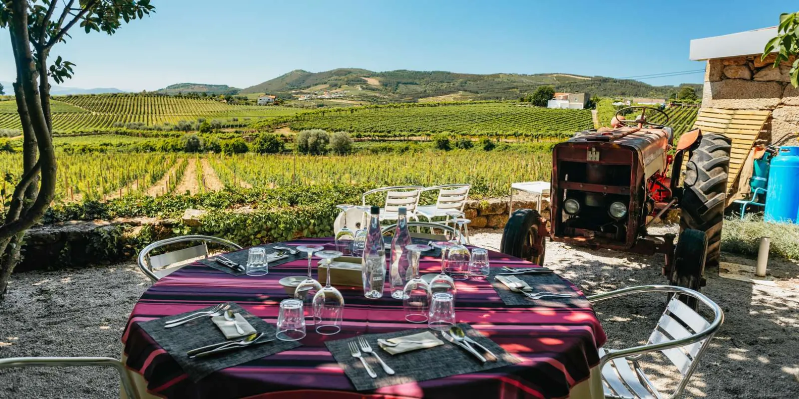 Wine tasting glasses at a family-owned Douro Valley estate
