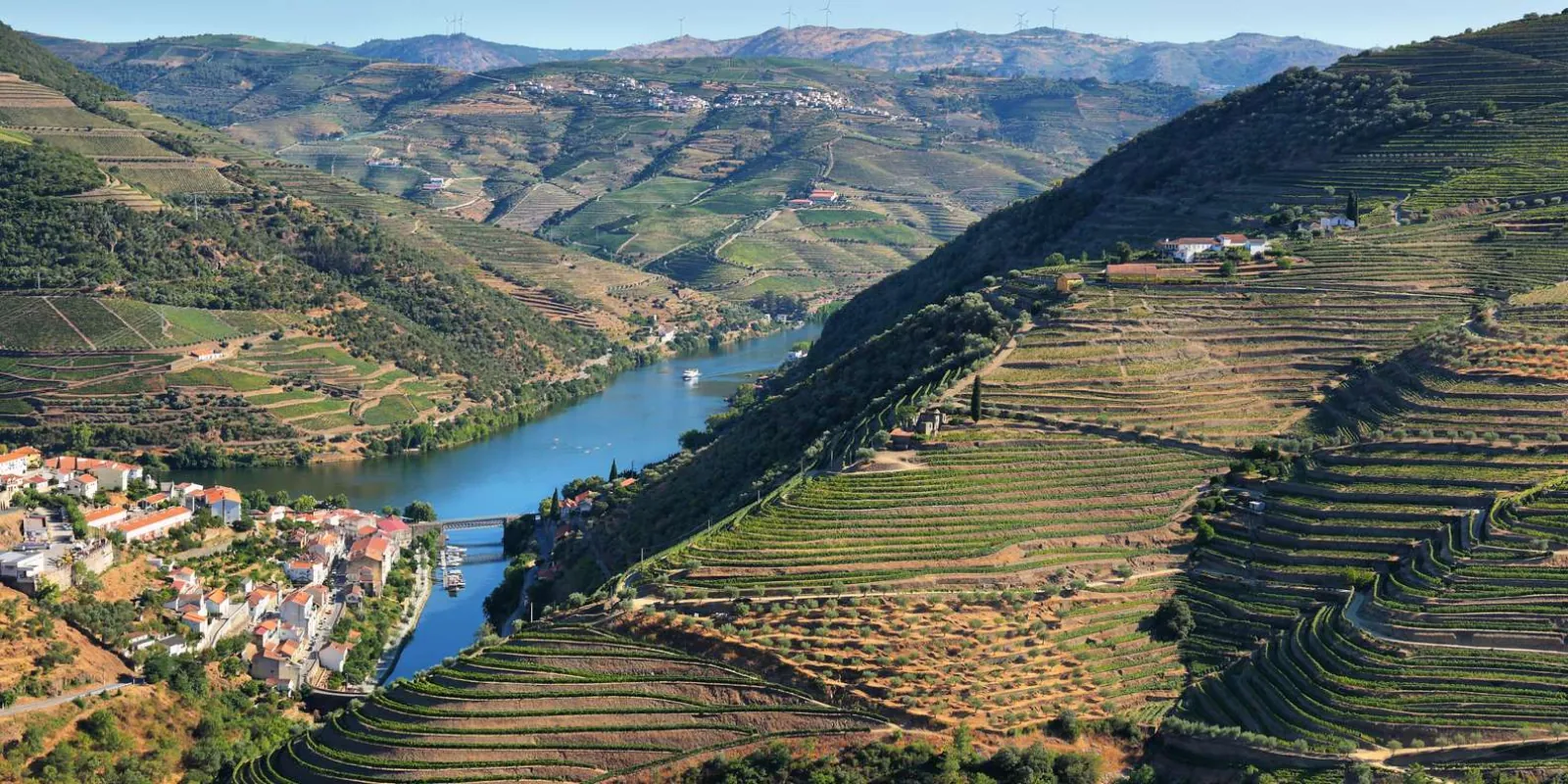 Family-owned Vinho Verde winery visit led by the sommelier guide