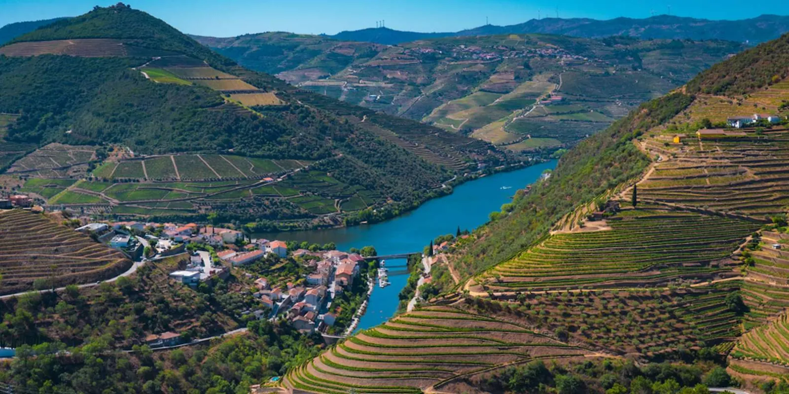Aerial view of the Douro River winding past a riverside village and terraced vineyards