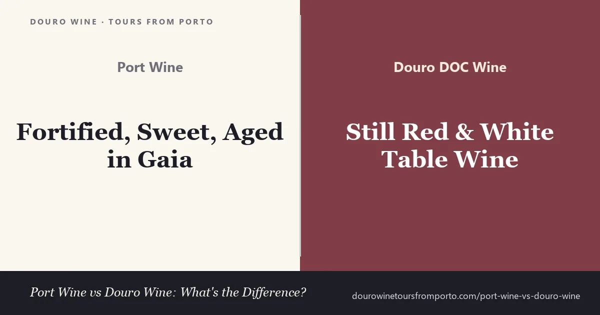 Comparison of Port wine (fortified, sweet, aged in Gaia) versus Douro DOC wine (still red and white table wine)