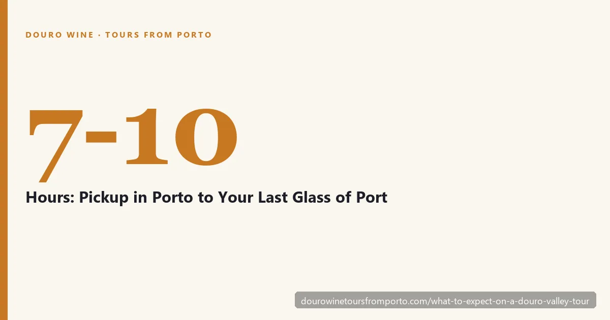 7 to 10 hours: a Douro Valley tour from pickup in Porto to your last glass of Port